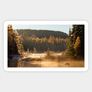 Costello Creek, Algonquin Park Sticker